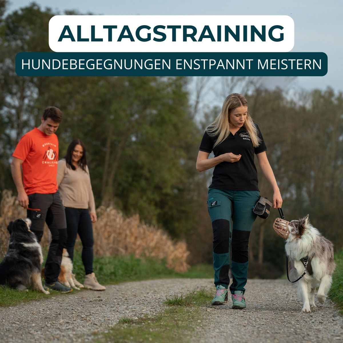 Welpentraining, Junghunde und erwachsene Hunde, Beschäftigungskurse. Mobile und stationäre Hundeschulen Unterrichte.