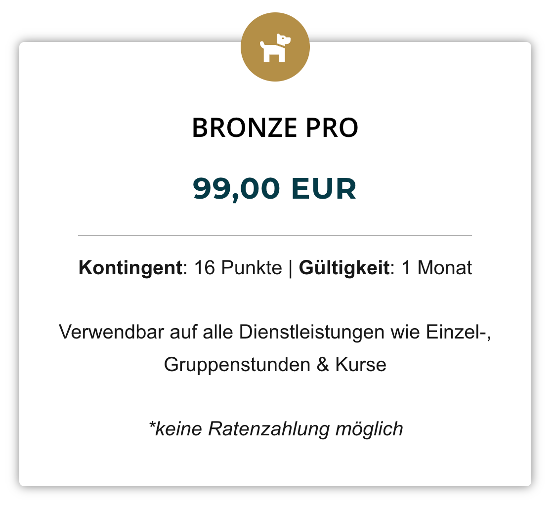 Bronze Pro (99,00 € | 16 Punkte)