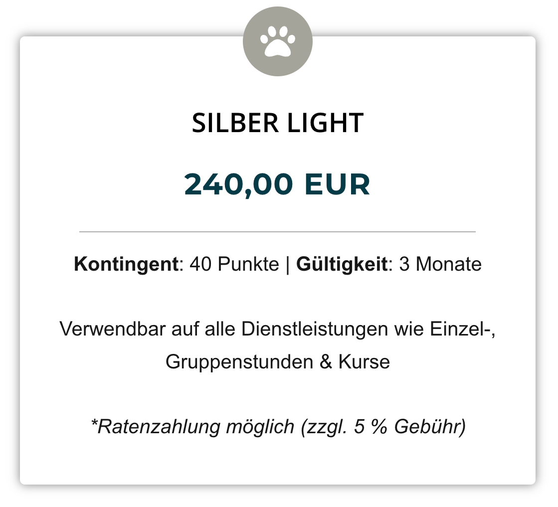 Silber Light (240,00 € | 40 Punkte)