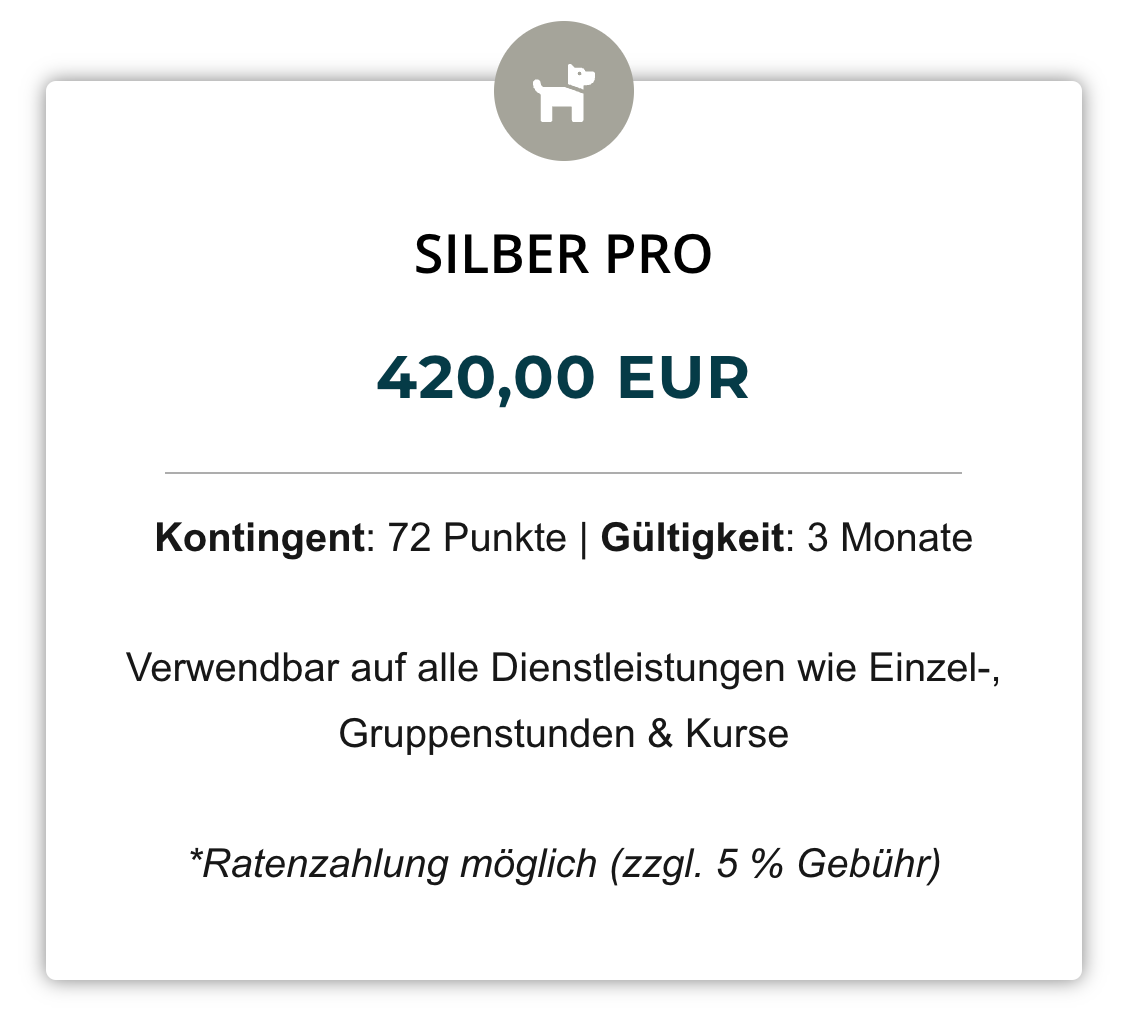 Silber Pro (420,00 € | 72 Punkte)